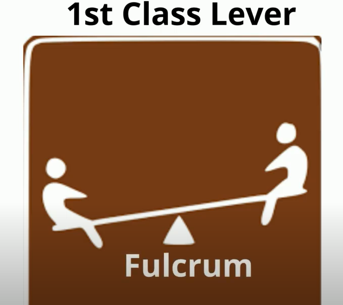 10 Facts about Levers MooMooMath and Science
