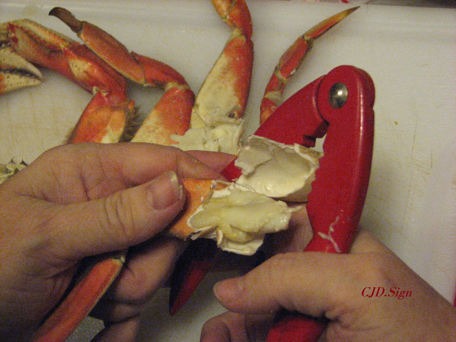 How To Eat A Dungeness Crab Illustrated Tutorial
