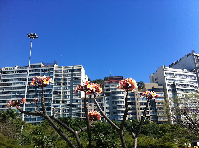 Primavera no Rio/Foto: Marcelo Migliaccio
