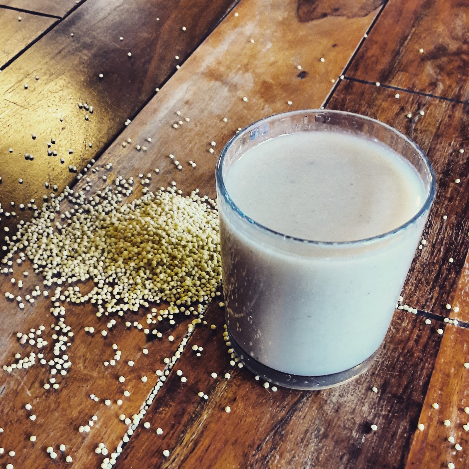 Dr.Mossylawn DIY vegan food blog not only for vegans Millet milk(perfect treat for brunch)