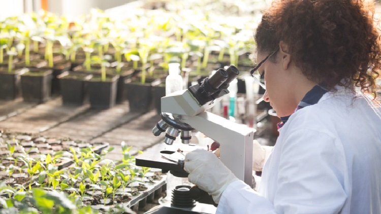 Biotechnology in Agriculture