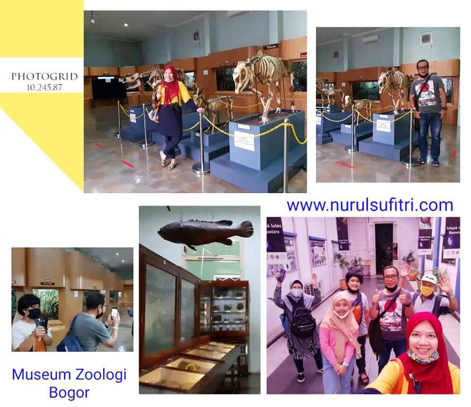 Museum Zoologi Bogor Wisata Edukasi Mengenal Hewan Langka Nurul Sufitri Travel Lifestyle Blog