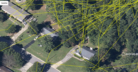 Maps Mania The Secret Life Of Cats