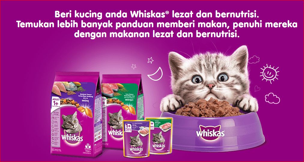 Harga Makanan Kucing Whiskas di Alfamart 2021