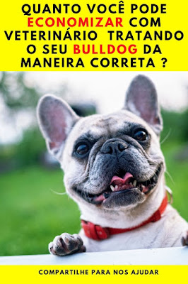 manual-filhote-bulldog-francês-pdf