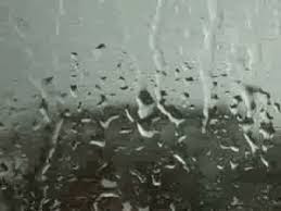 Uma chuva que não para então, a melhor coisa é ficar em casa. Uma chuva que não para então, a melhor coisa é ficar em casa.