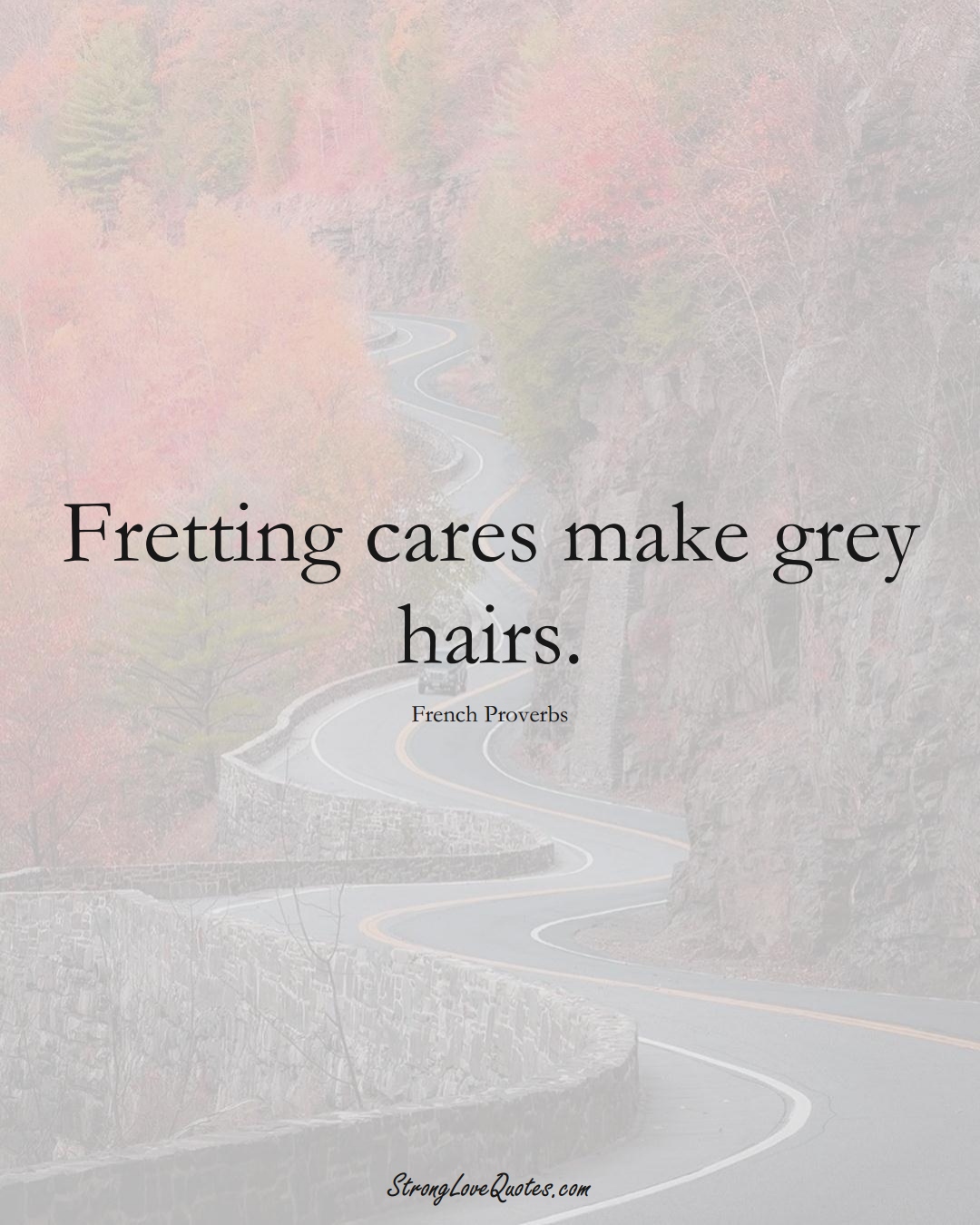 Fretting cares make grey hairs. (French Sayings);  #EuropeanSayings