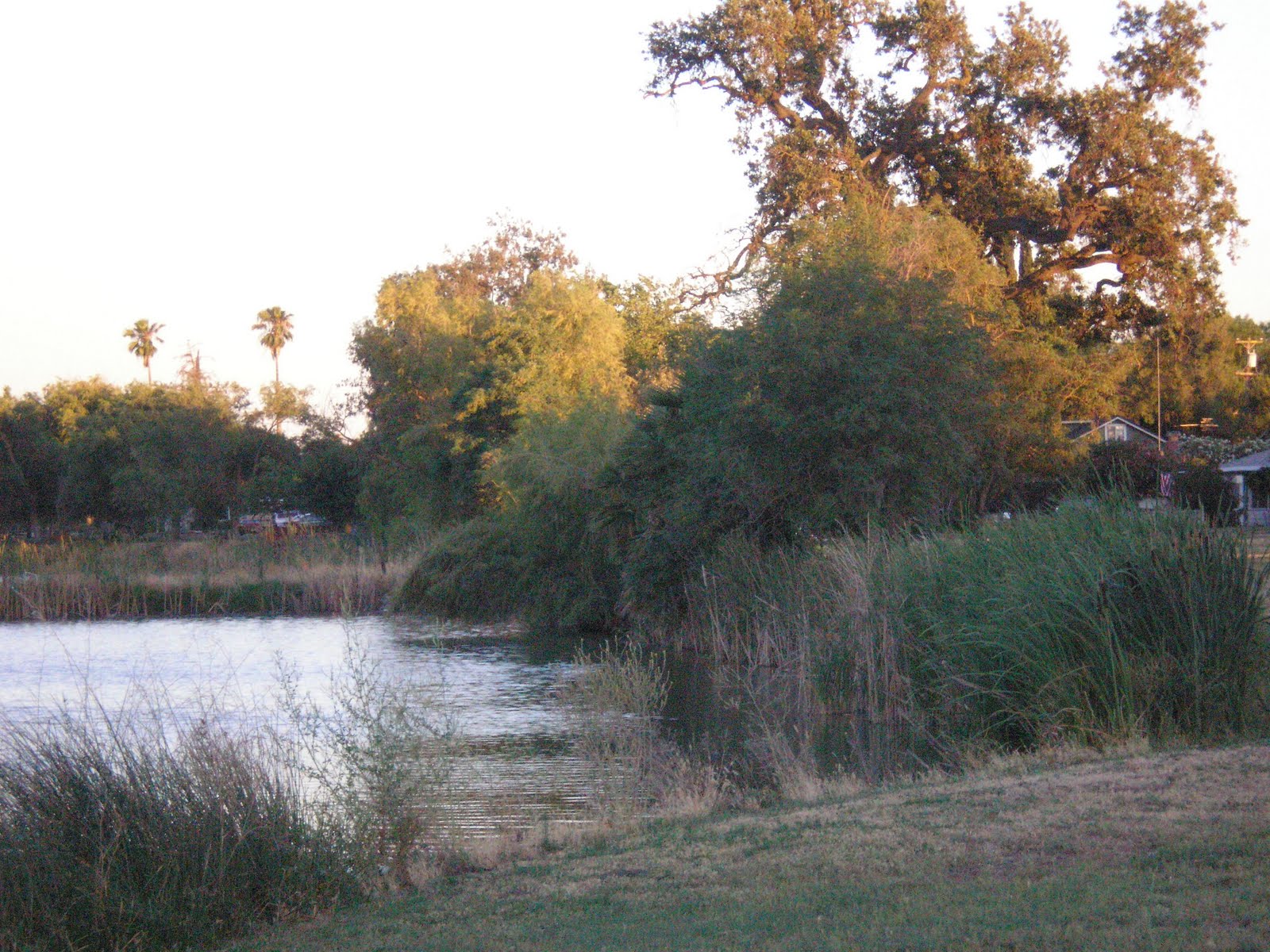 My' thoughts & Rants The San Joaquin River Club
