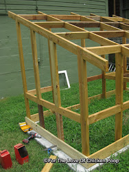 coop chicken dog framing frame roof end than building poop framed underway chickens