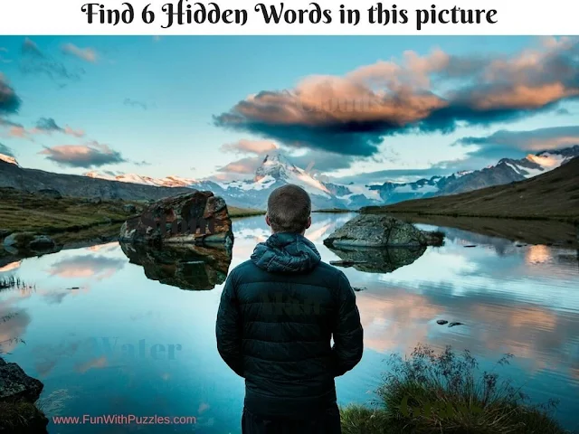 Uncover the Hidden Words: Word Hunt Picture Puzzle-1