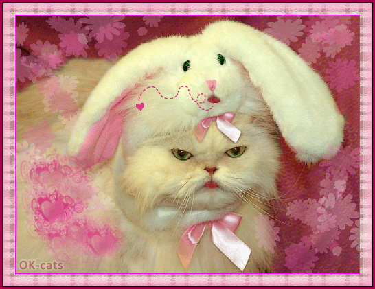 Art Cat GIF • Crazy Persian cat breaking the rules wearing animated bunny hat and sticking his tongue out Art Cat GIF • Crazy Persian cat breaking the rules wearing animated bunny hat and sticking his tongue out