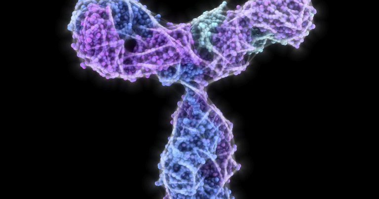 4 Difference Between Polyclonal and Monoclonal Antibodies