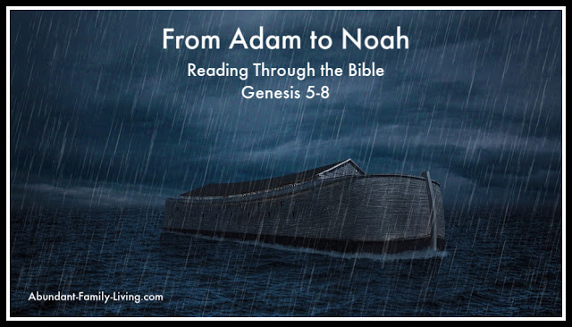 From Adam to Noah