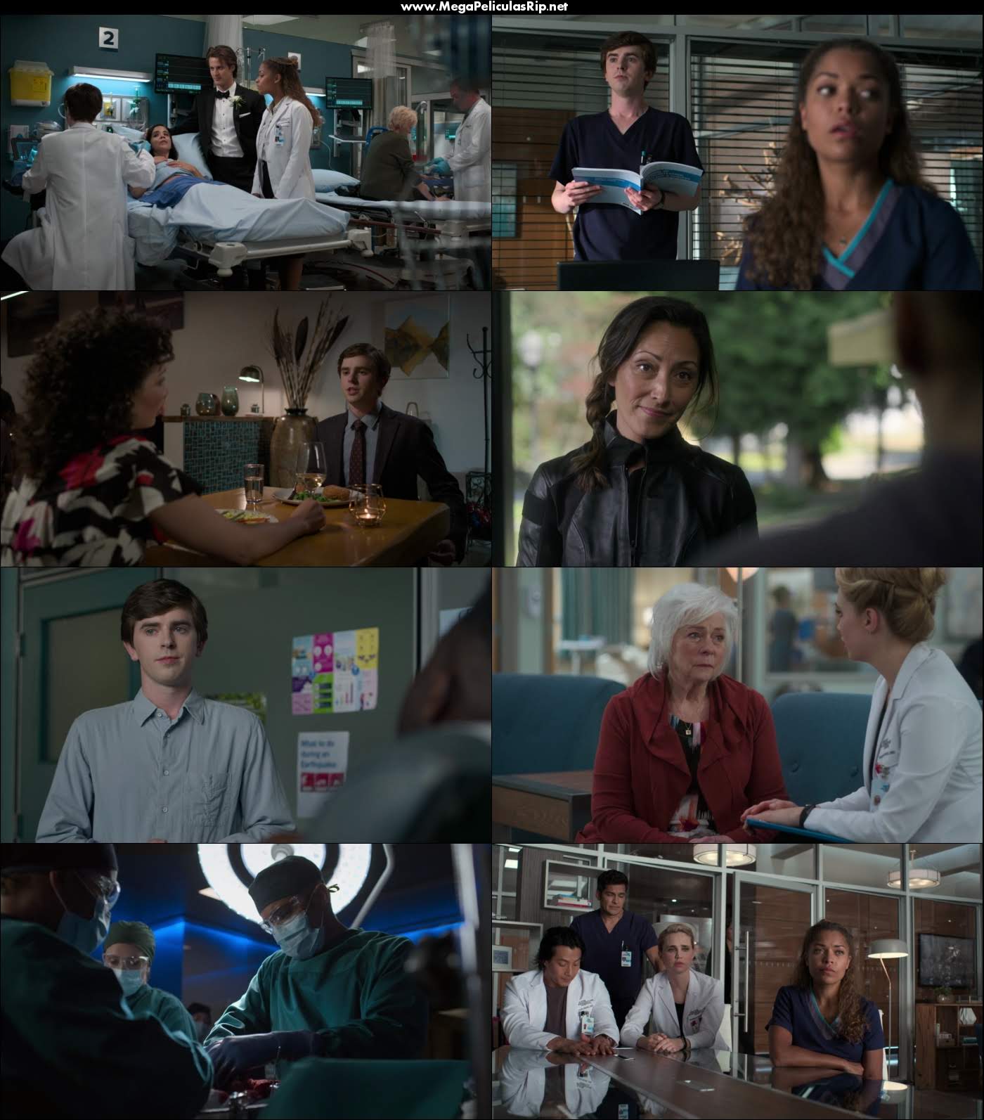The Good Doctor Temporada 3 720p Latino