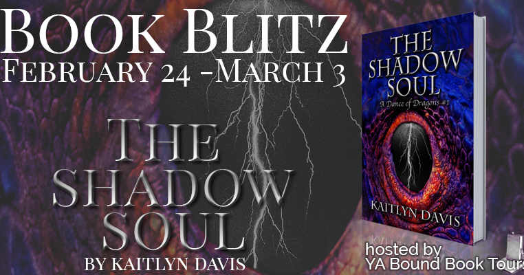 Laurie's Paranormal Thoughts and Reviews: The Shadow Soul by Kaitlyn ...