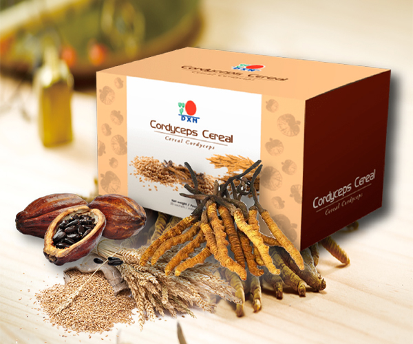 Кордицепс япония. Гано чай. Чай с грибами и кордицепсом. Green зеленый чай с грибом рейши enerwood. Кордицепс dxn.