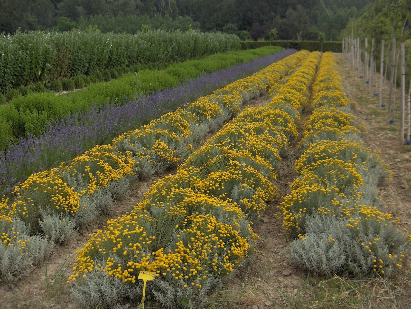 MATERIALES MARI LUZ: septiembre 2015