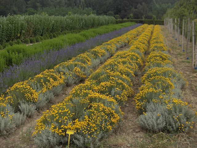 MATERIALES MARI LUZ: septiembre 2015