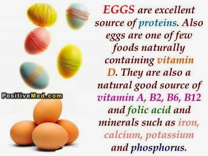 weight loss for a healthy lifestyle Why eggs are good for you even if you're on a weight loss diet
