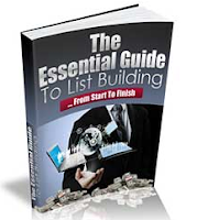 Essential Guide To List Building
