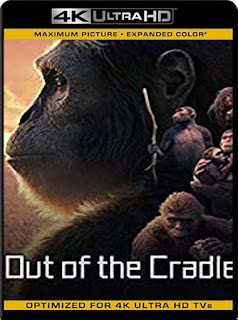 Out of the Cradle (2018) 4K 2160p UHD [HDR] Latino [GoogleDrive] 