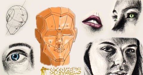 دورة رسم البورتريه كيفية رسم رأس انسان