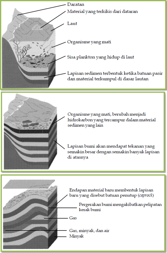 Proses Pembentukan Minyak Bumi - cekrisna