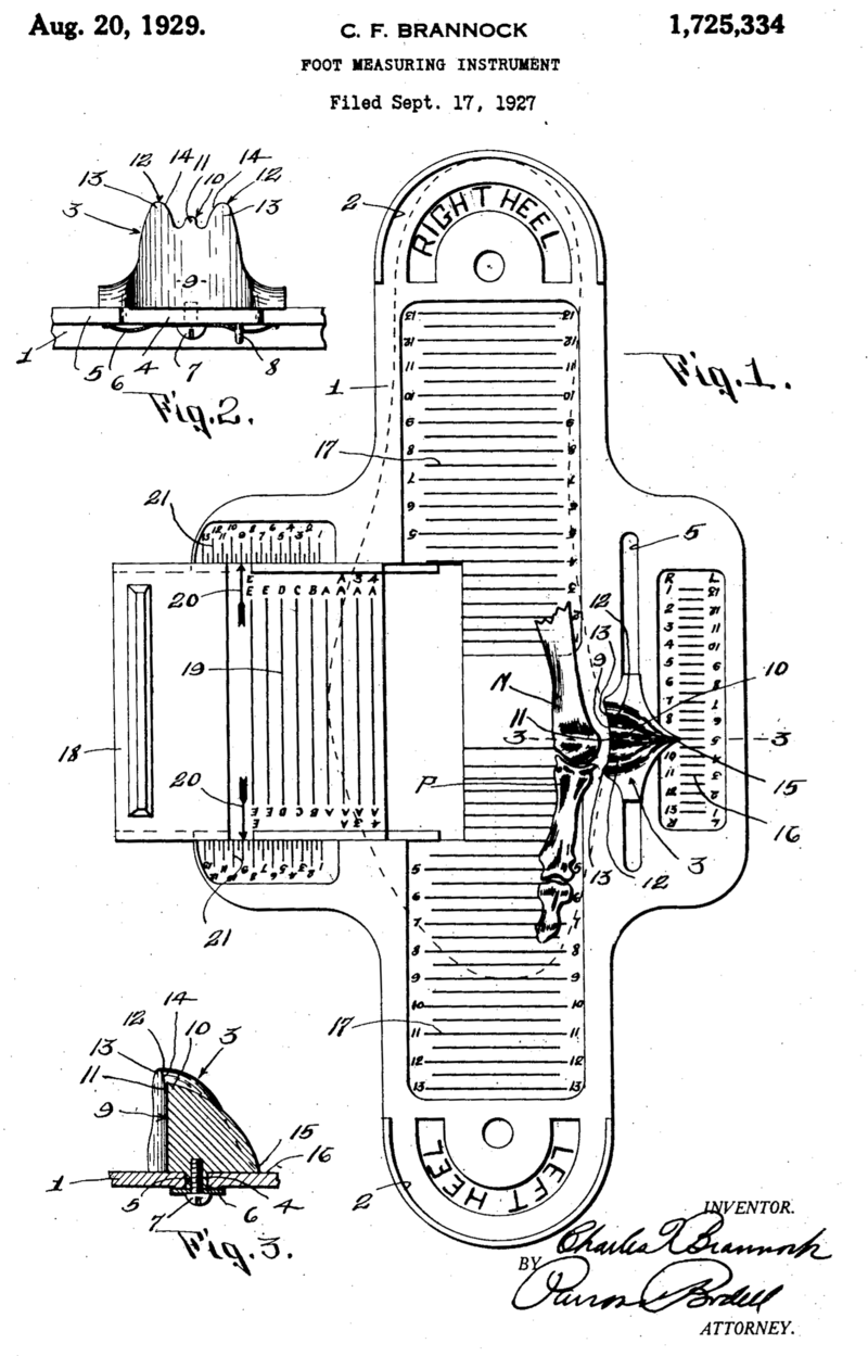 what is Brannock Device