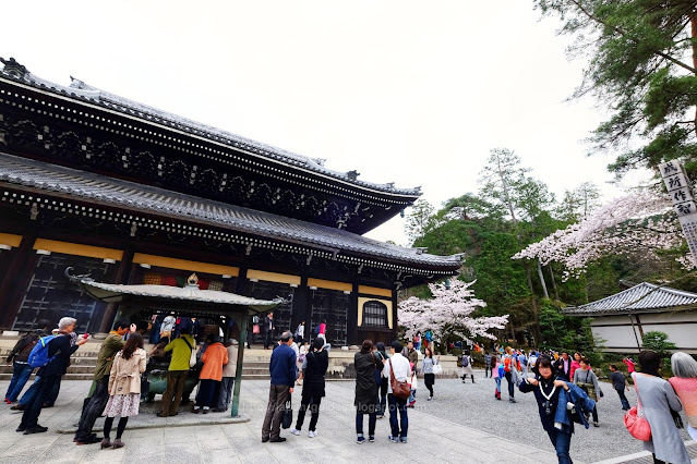 Nanzenji Temple Kyoto Sakura