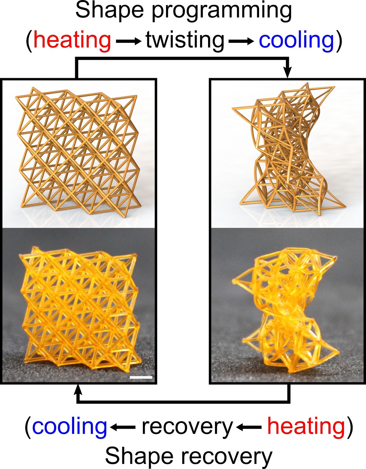 Shape Changing Material