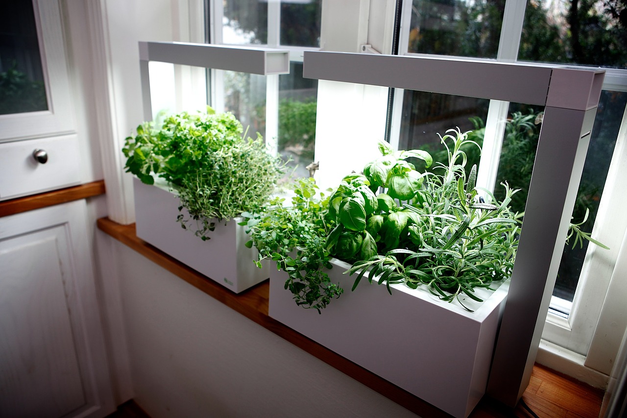Indoor Herb Gardening Container homes plans