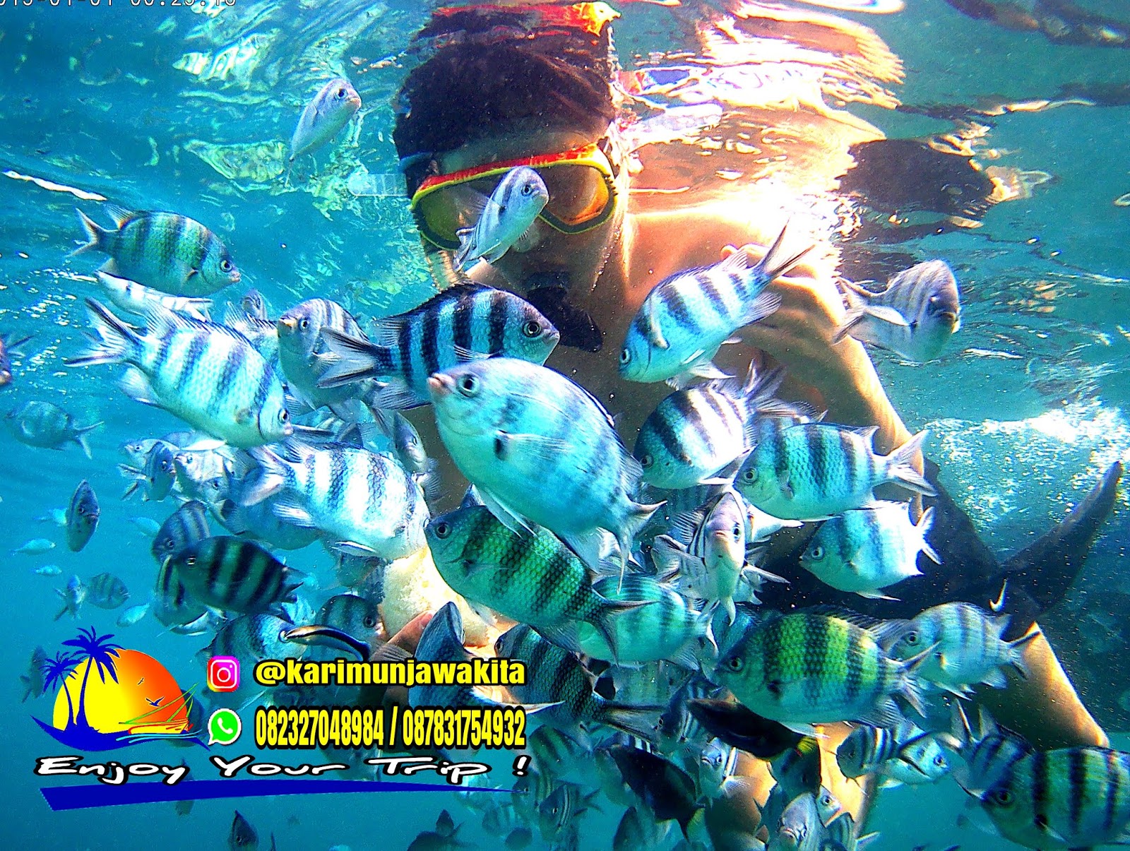 Info Paket Wisata Karimunjawa 2020 | Karimunjawa Kita Tour