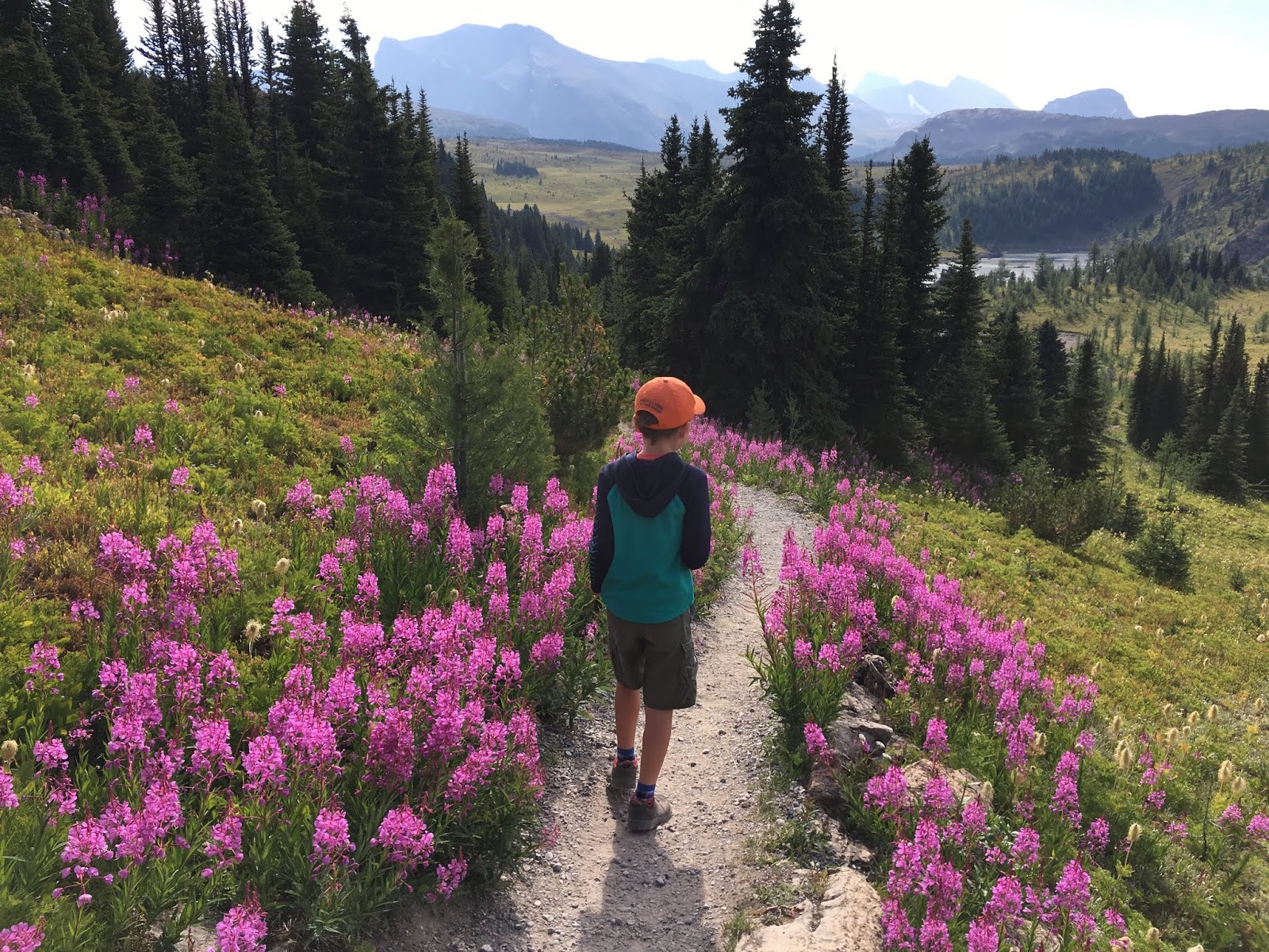 Family Adventures in the Canadian Rockies The BEST of Summer in the