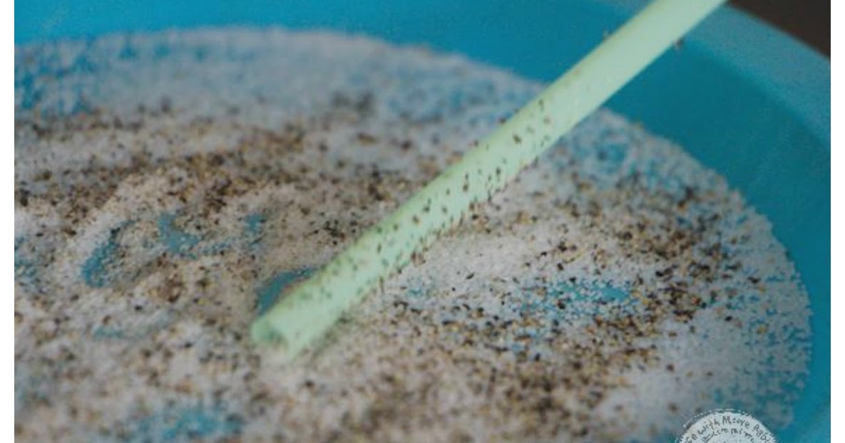 Amazing Science Separate Salt and Pepper with a Straw Life with Moore Babies
