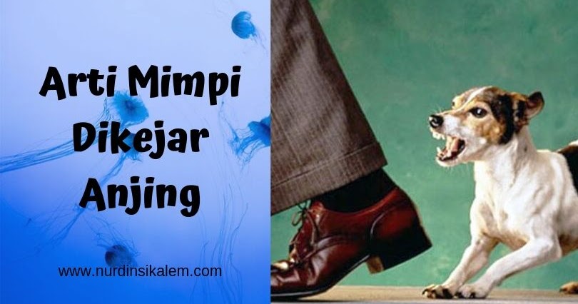 13+ Arti Mimpi Di Kejar Anjing 4d