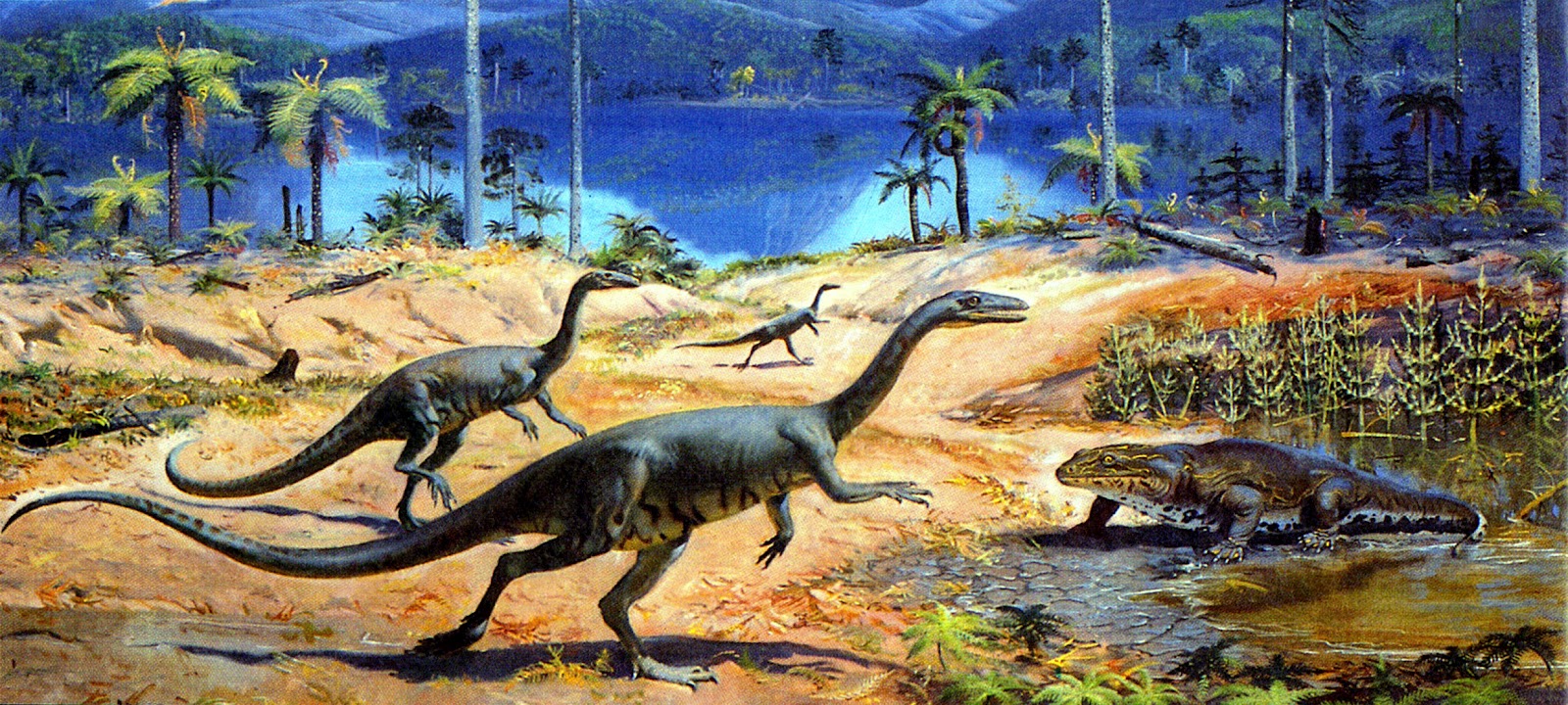 Помнишь мезозойскую. Зденек Буриан палеохудожники. Зденек Буриан динозавры. Целофизисы Зденека Буриана. Целофизисы мезозойской эры.