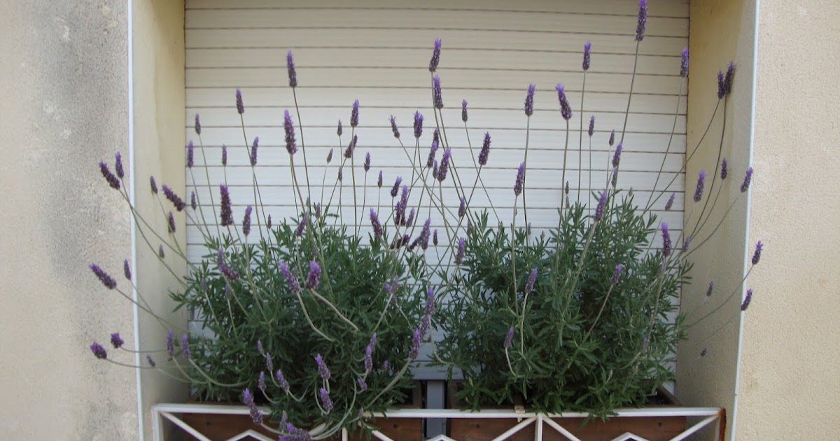 JARDINERAS DE MADERA