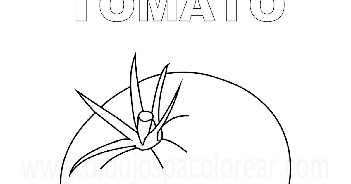 Dibujos Inglés Español con T Tomate Tomato
