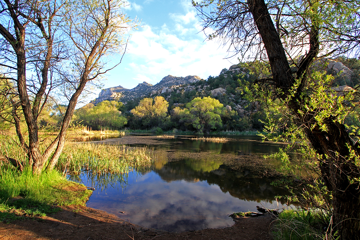 Bradshaw Mountains Bradshaw December 2012