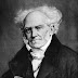 Schopenhauer e a Teoria da Supermente