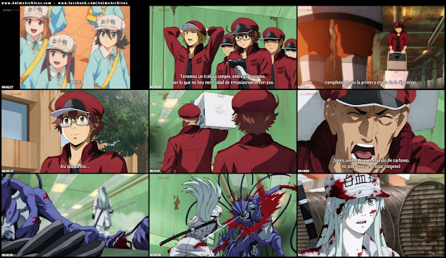 Hataraku Saibou Black (TV)