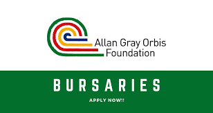 Allan Gray Orbis Fellowship Bursary 2023