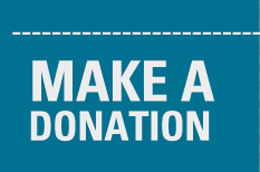 Donate or Sponsor