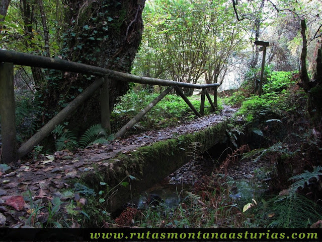 Ruta de los Molinos del Rio Profundo: Puente