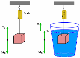 Archimedes Principle - Definition, derivation and it's explanation.