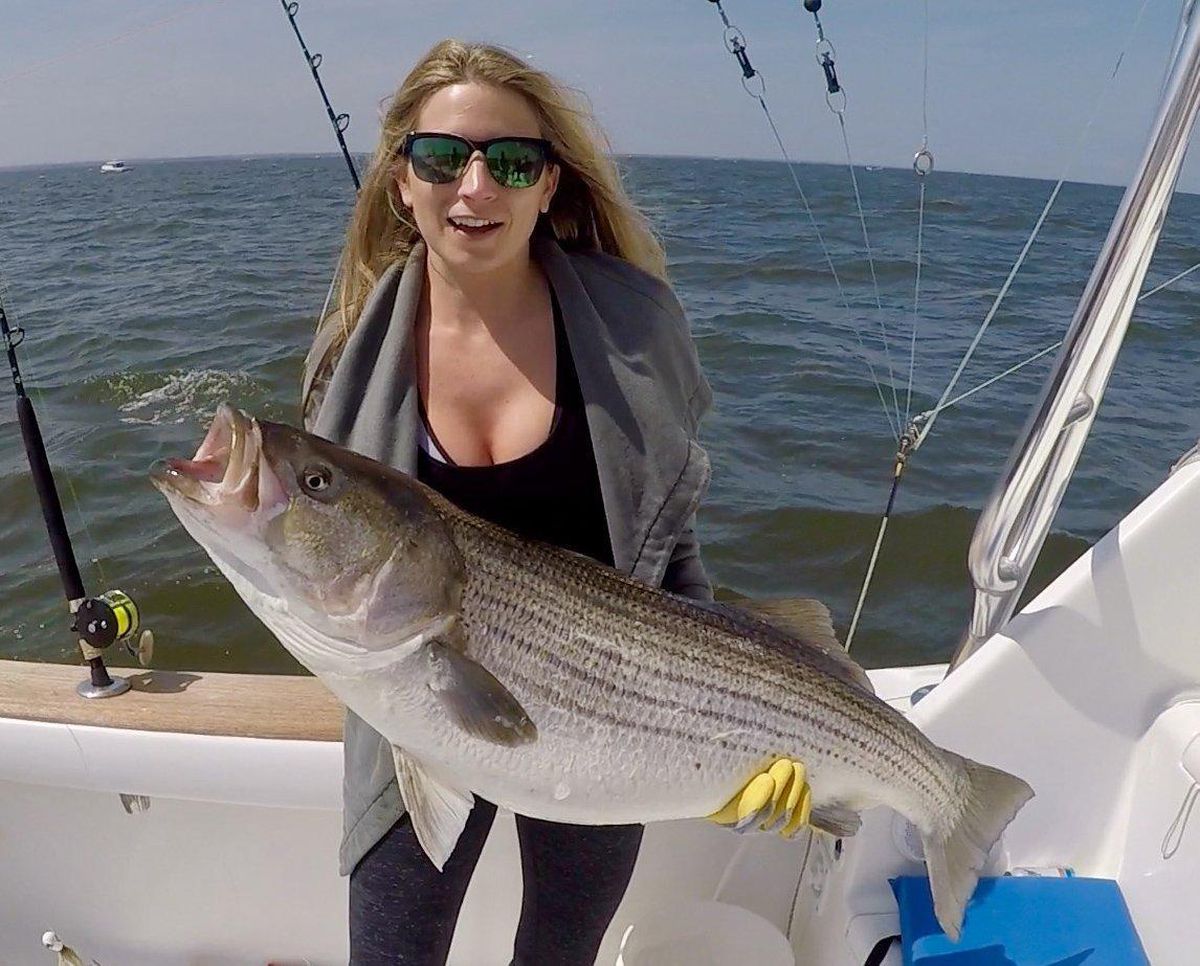 Striper Fishing Tips