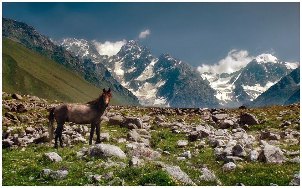 The Caucasus Mountains