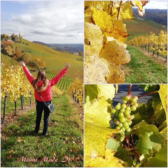 Herbst in der Südsteiermark - Autumn in South Styria