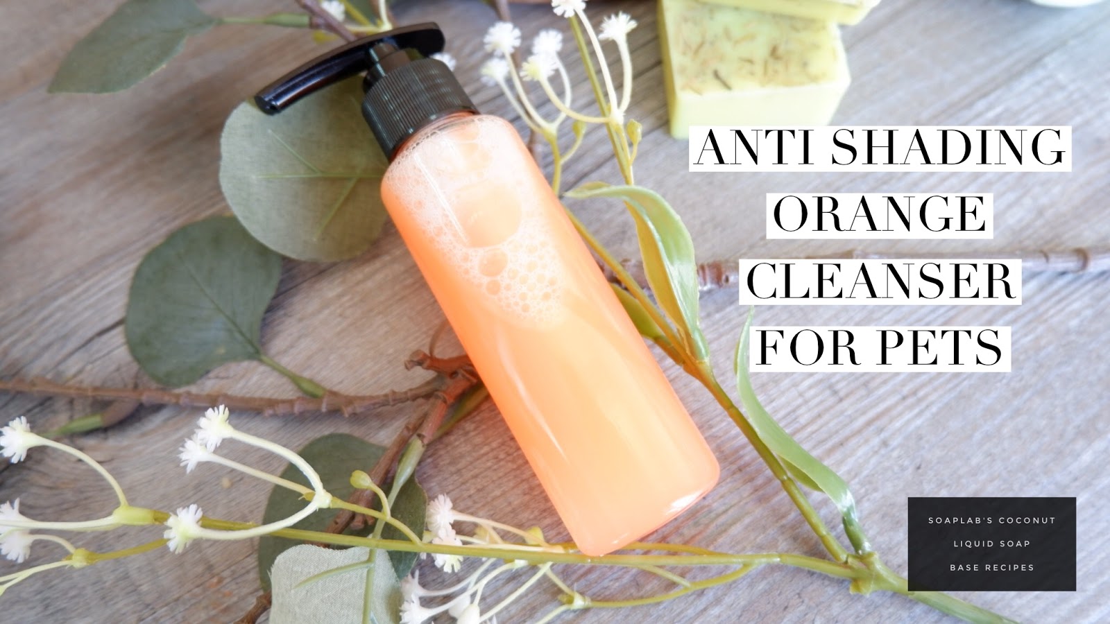 SoapLab Malaysia DIY Pet Shampoo Anti Shedding Orange Flavored