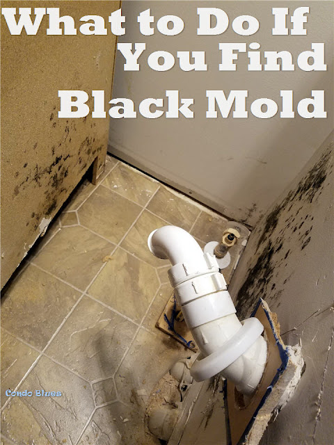 What To Do About Black Mold Around Your Toilet Base